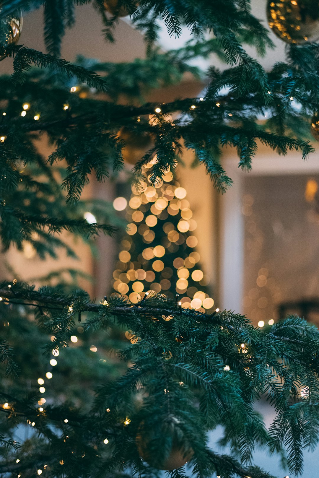 Sfeervolle kerstverlichting