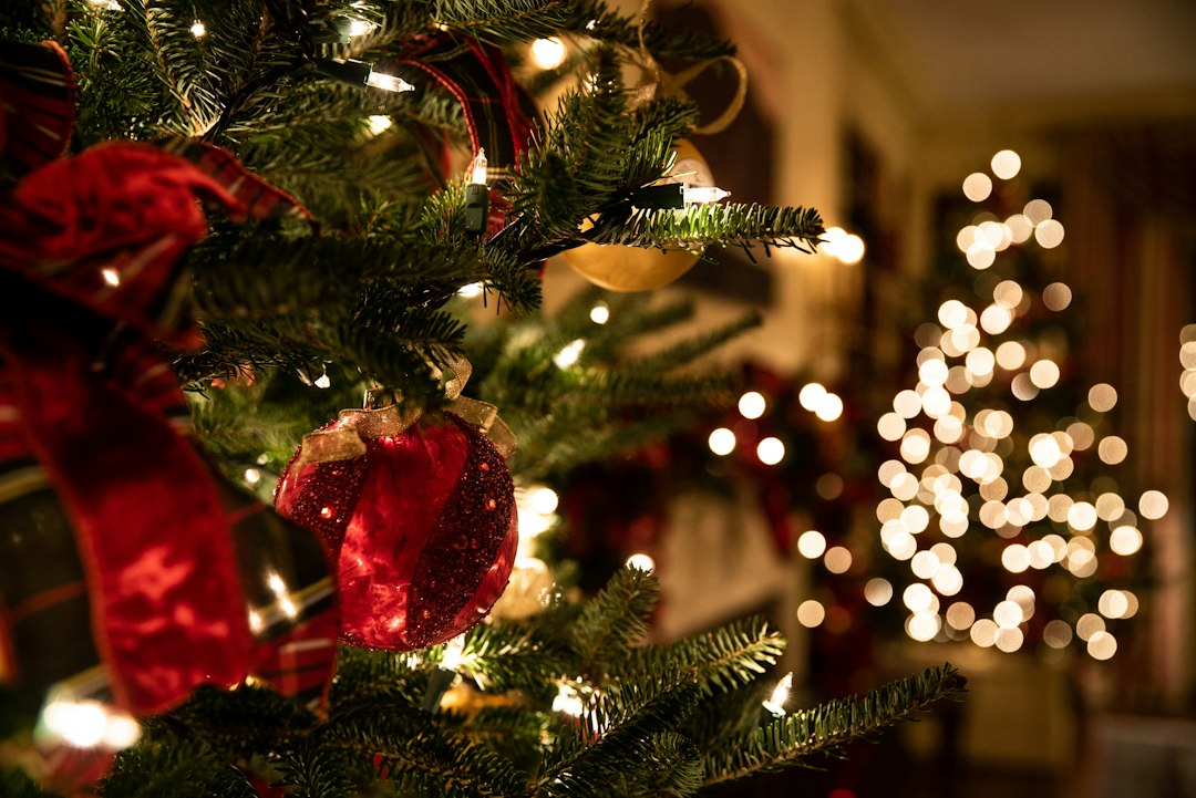 Verlichte kerstboom